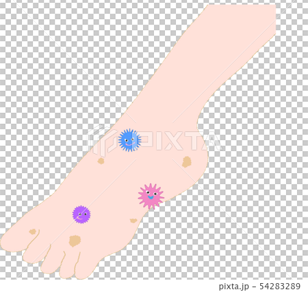臟腳 臟腳 54283289