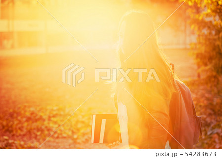sunset silhouette 54283673