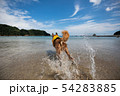 海へGO 54283885