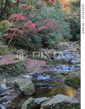 Minoo or Minoh national park in autumn, Osaka, Minoo or Minoh national park in autumn, Osaka, 54283995