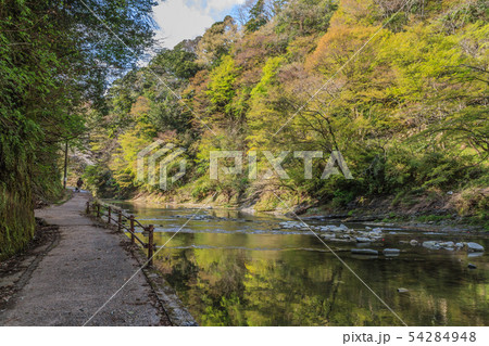 春の養老渓谷の中瀬遊歩道からみた風景 54284948