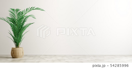 Interior background of room with white wall and 54285996