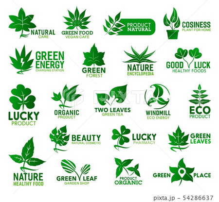 Green leaves of plants, trees and flowers Green leaves of plants, trees and flowers 54286637