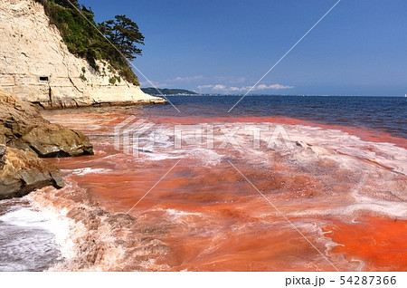 赤潮 赤潮 54287366