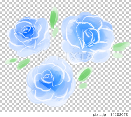 Roses Blue Roses Blue 54288078