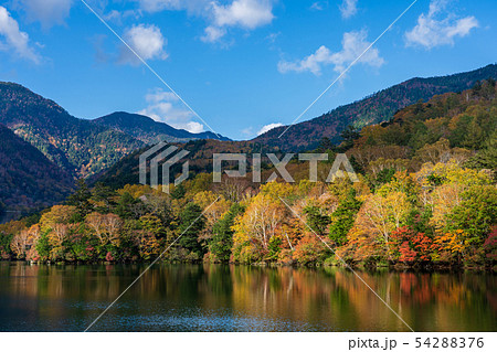 栃木県日光市　湯ノ湖　（10月） 54288376