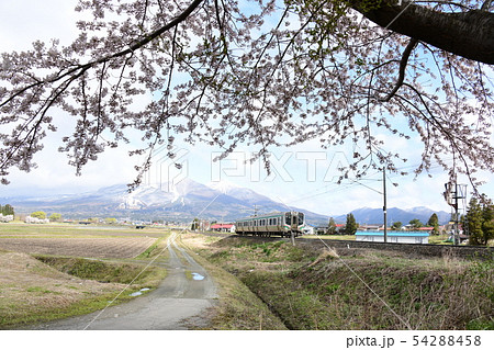 会津磐梯山 桜 電車 54288458