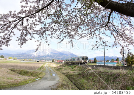会津磐梯山 桜 電車 54288459