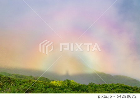 初夏の八幡平 秋田駒ヶ岳 ブロッケン現象 初夏の八幡平 秋田駒ヶ岳 ブロッケン現象 54288675