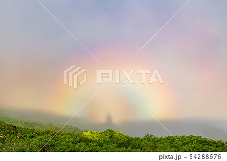 初夏の八幡平　秋田駒ヶ岳　ブロッケン現象 54288676