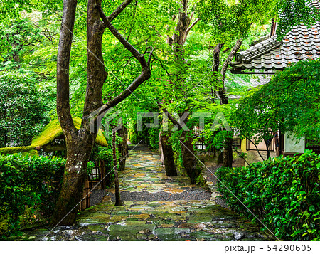 京都 寂光院 京都 寂光院 54290605