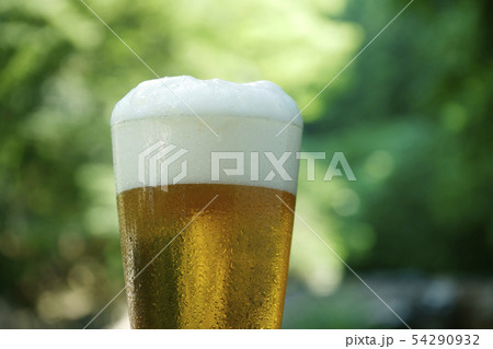 ビール　キャンプ　アウトドア 54290932
