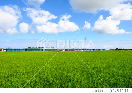 新幹線工事　北陸新幹線　延伸（石川県小松市） 54291111