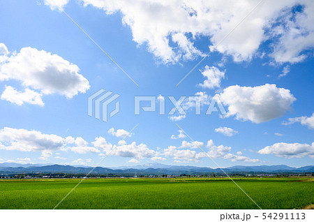霊峰白山の遠望（石川県能美市）6月下旬 54291113