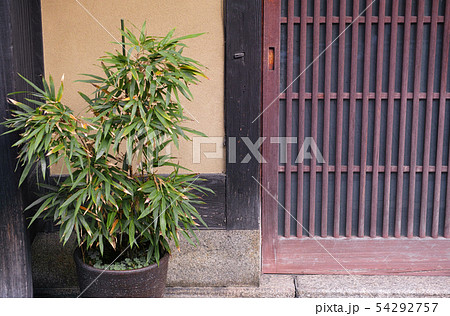 町屋の玄関の前に植えられた植木 54292757