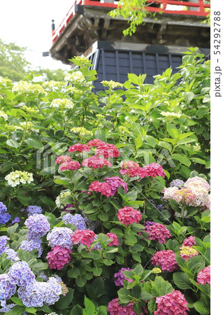 能護寺 埼玉県熊谷市 能護寺 埼玉県熊谷市 54292788
