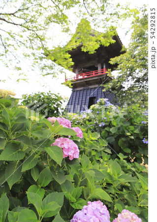 能護寺 埼玉県熊谷市 能護寺 埼玉県熊谷市 54292815