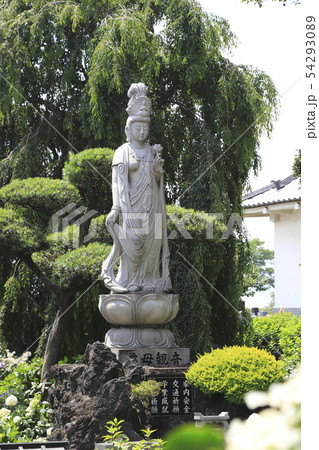 能護寺 慈母観音 埼玉県熊谷市 能護寺 慈母観音 埼玉県熊谷市 54293089