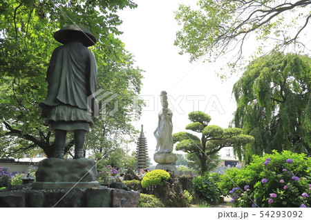 能護寺　慈母観音　埼玉県熊谷市 54293092