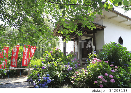 能護寺 埼玉県熊谷市 能護寺 埼玉県熊谷市 54293153