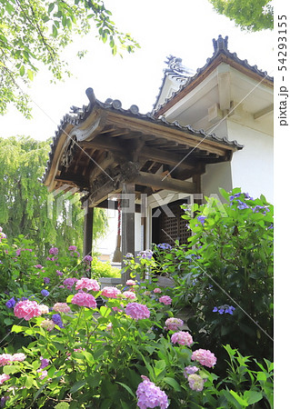 能護寺　埼玉県熊谷市　 54293155