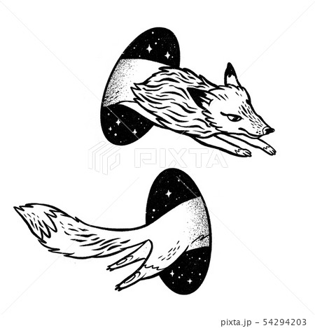 Fox in magic teleport. Linear black and white drawing. 54294203