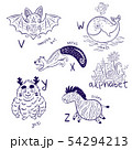 Cute zoo alphabet drawing in a chalk style. Hand drawn contour illustration 54294213