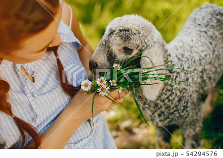 beautiful girl with goat beautiful girl with goat 54294576