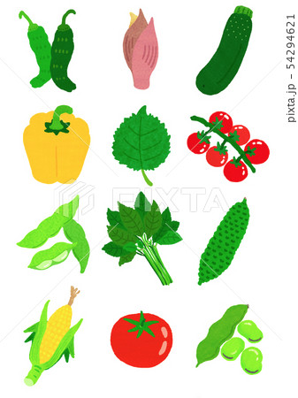 夏野菜 Summer Vegetableのイラスト素材