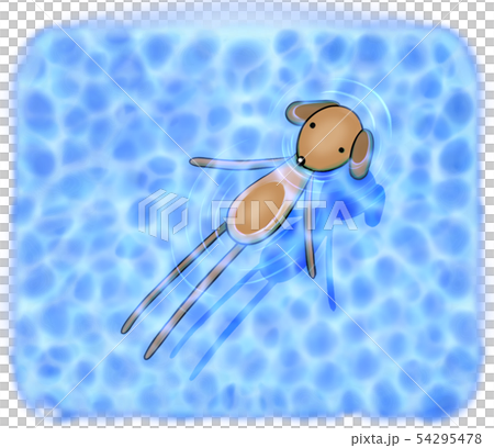 ぷかぷかと水面に浮かぶ犬さん（ダックスフント） 54295478