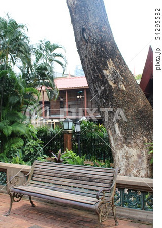 Jim Thompson house museum ジム・トンプソンの家 木 巨木 Jim Thompson house museum ジム・トンプソンの家 木 巨木 54295532