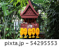 Jim Thompson house museum ジム・トンプソンの家　庭 54295553