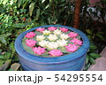 Jim Thompson house museum ジム・トンプソンの家　花 54295554