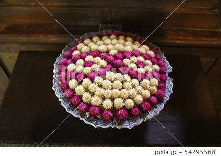 Jim Thompson house museum ジム・トンプソンの家　花 54295568