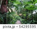 Jim Thompson house museum ジム・トンプソンの家　庭 54295595
