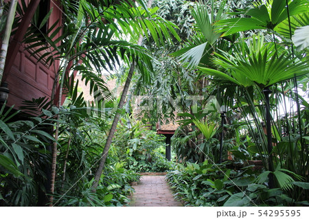 Jim Thompson house museum ジム・トンプソンの家 庭 Jim Thompson house museum ジム・トンプソンの家 庭 54295595