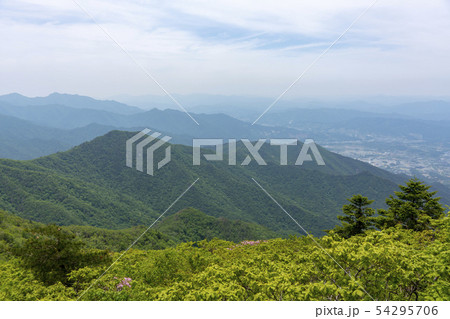 雲 花 韓国 54295706