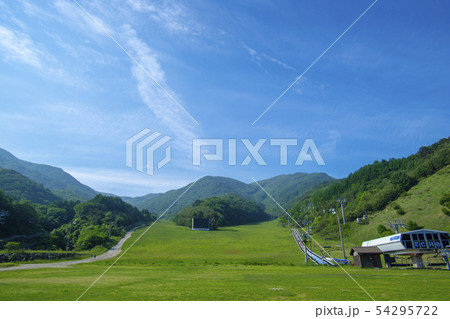 雲 花 韓国 54295722
