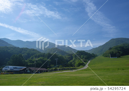 雲 花 韓国 54295724