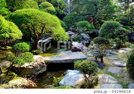 柴又　山本亭 54296618
