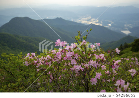 雲 花 韓国 54296655