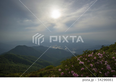 雲 花 韓国 54296661