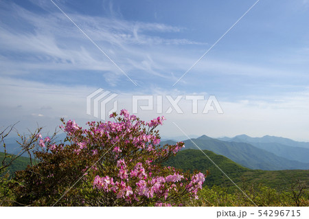 雲 花 韓国 54296715