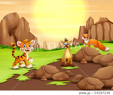 Wild animal in the nature at the sunshine 54297236