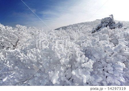 太白山 雪花 青い空 54297319