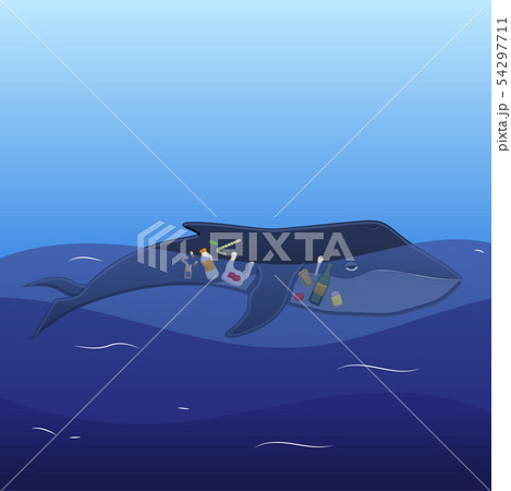 Whale with trash inside Whale with trash inside 54297711
