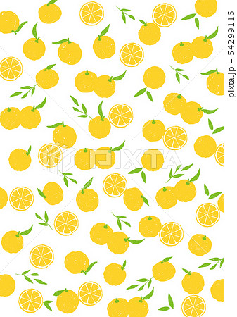柑橘 ゆず かぼす 背景パターンのイラスト素材
