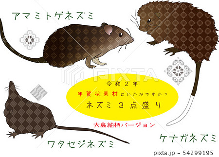 南国奄美の大島紬とねずみ3点盛り 南国奄美の大島紬とねずみ3点盛り 54299195