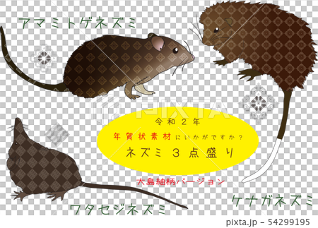 南国奄美の大島紬とねずみ3点盛り 南国奄美の大島紬とねずみ3点盛り 54299195