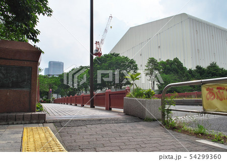 初夏の目黒川 中里橋 54299360